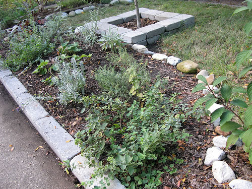 Parkway herb garden