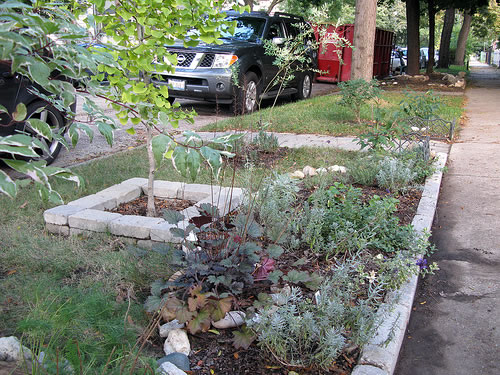 Parkway herb garden