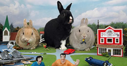 Malcolm, Tula, Clooney