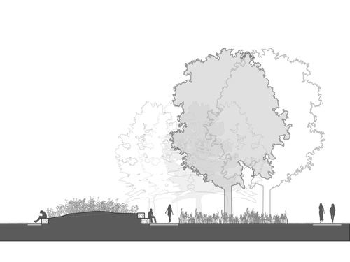 Roosevelt Square: section